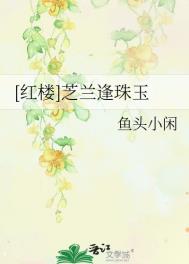 红楼同人之长兄难为