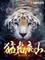 猛虎团