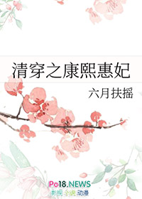 清穿之康熙嫡幼子小说