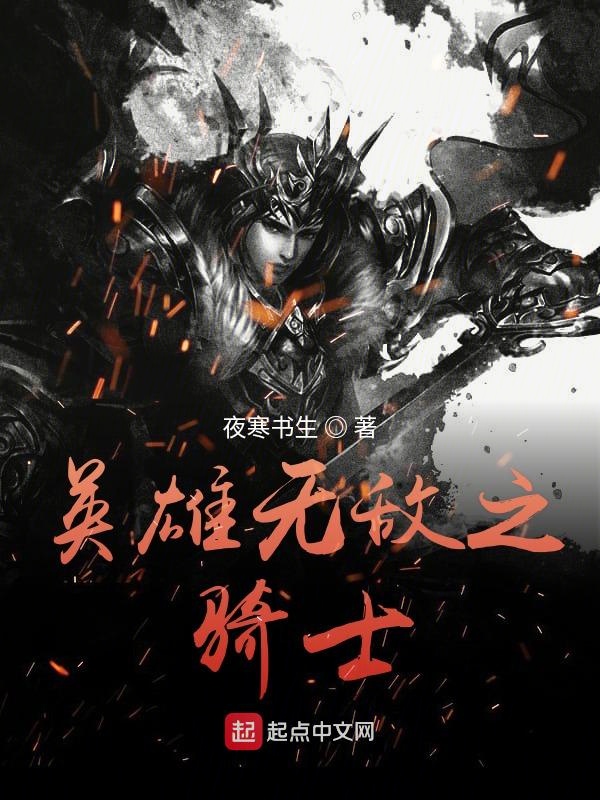 小说英雄无敌之骑士