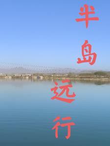 半岛小牛