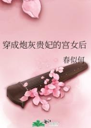 穿成炮灰贵妃小说